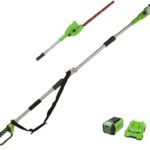 Élagueuse et Taille Haie à Batterie sur Perche 2-en-1 Greenworks G40PSHK2