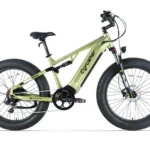 CyrusherRoverE-Bike-vert-Main.webp