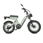CyrusherScoutProDualMotorDualBatteryDualSuspensionEbikenoir.webp
