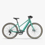 Fiido-C22-Gravel-Velo-electrique-Leger-gris.jpg