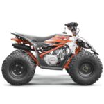 Quad-125cc-Kayo-AT125-1.jpg