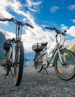 vélo électrique tout-chemin VTCAE