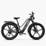 Fiido Titan - Vélo électrique Cross & Randonnée De Transport Robuste