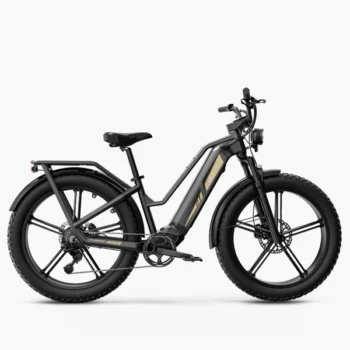 Fiido Titan - Vélo électrique Cross & Randonnée De Transport Robuste