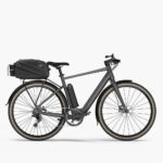 Gravel-eBike-Fiido-c21.jpg