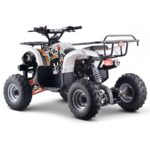 quad-125cc-enfant-lbq-toronto-rouge.jpg