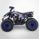 quad-enfant-125cc-bleu-probike.jpg