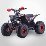 quad-enfant-125cc-bleu-probike.jpg