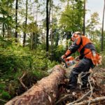 Tronçonneuse thermique STIHL MS 362 C-M VW